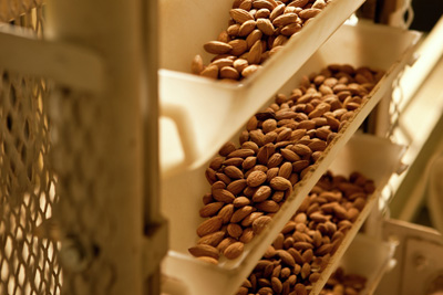 Food Safety Quality