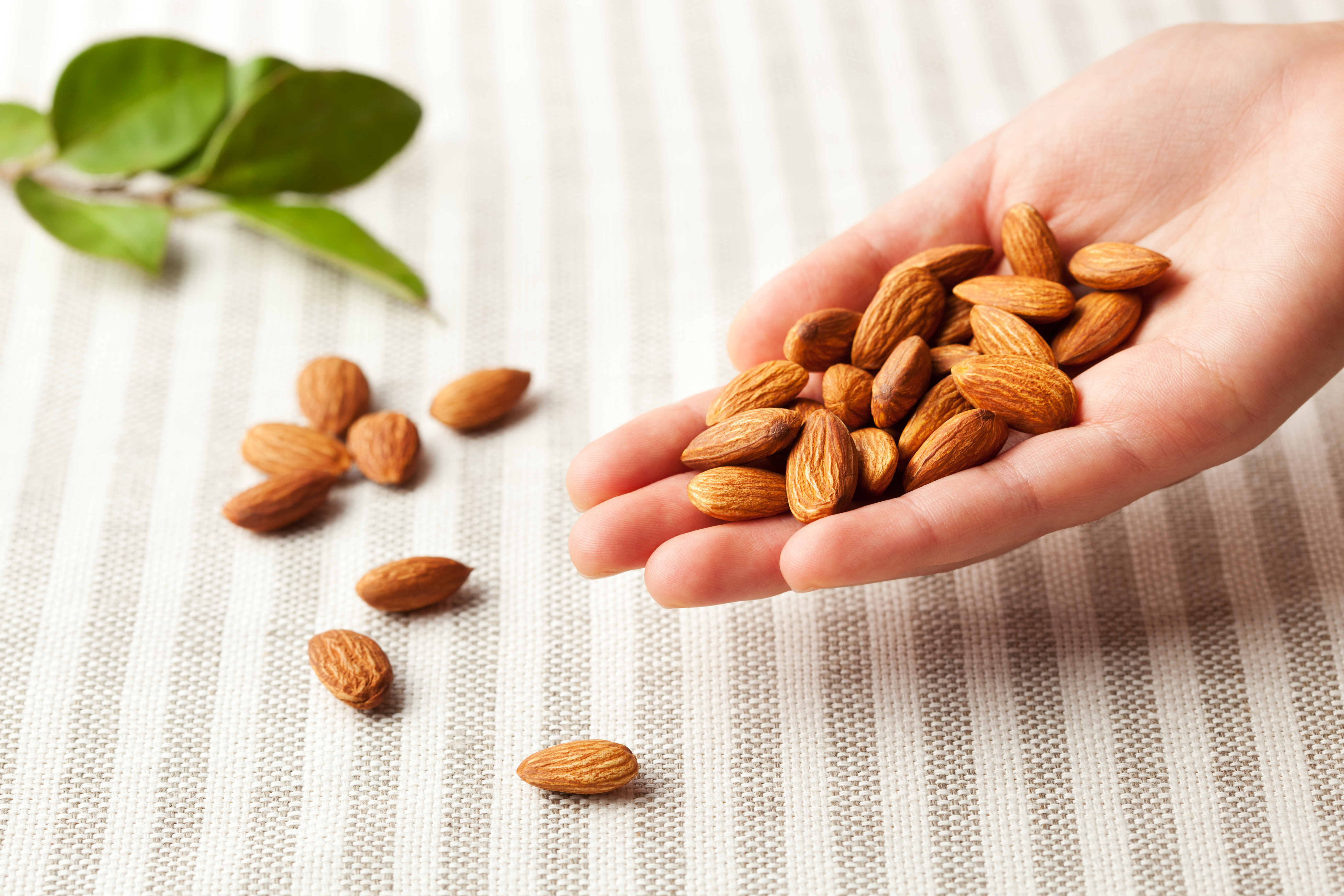 handful of almonds