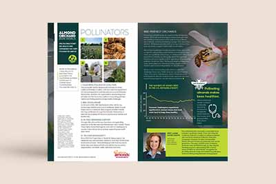 Spotlight on Bee Health 2021