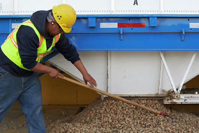 Almond farmer carefully sifting through a pile of freshly picked almonds, examining their quality.