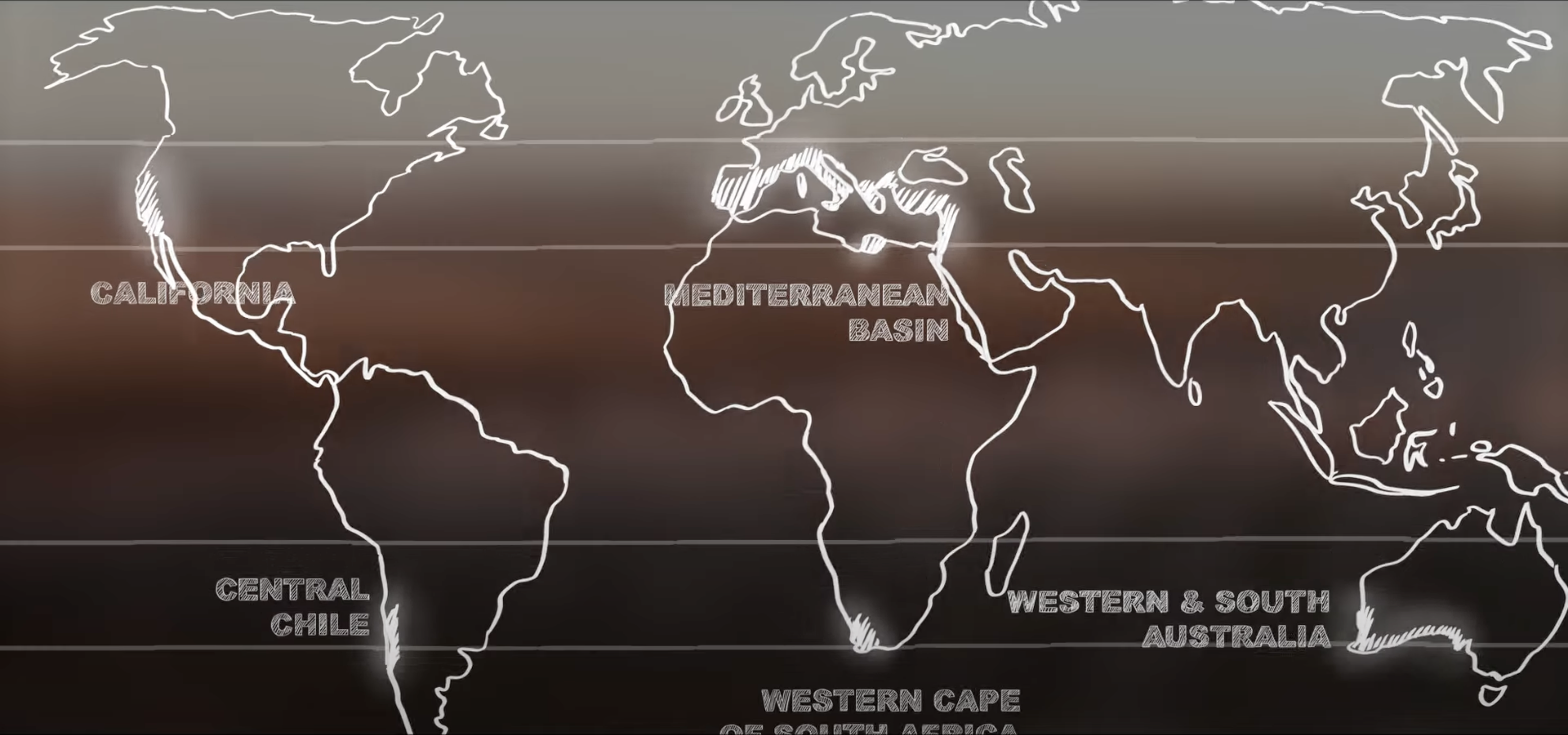Illustration of map depicting shipment locations