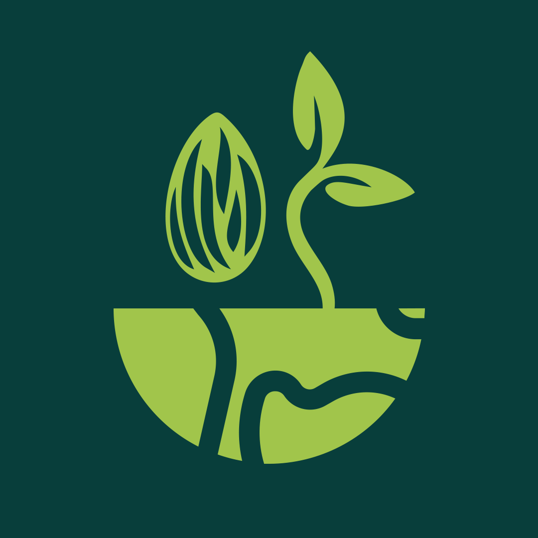 A minimalist green illustration on a dark teal background, depicting a seed and a sprouting plant with leaves emerging from stylized soil
